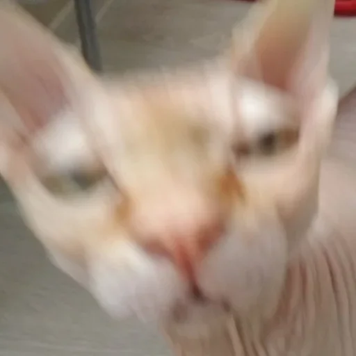 Эмодзи О мои глаза