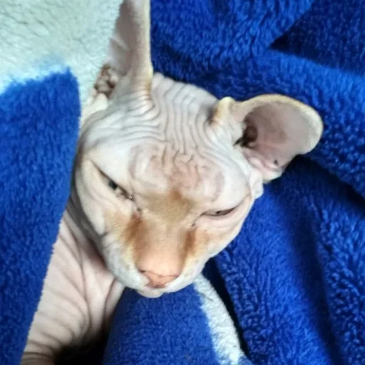 Эмодзи О мои глаза