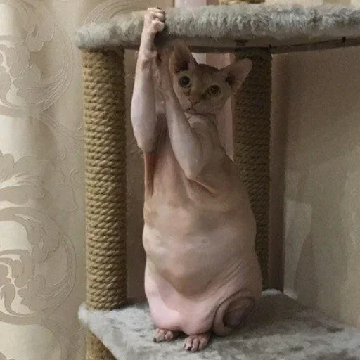 Эмодзи О мои глаза