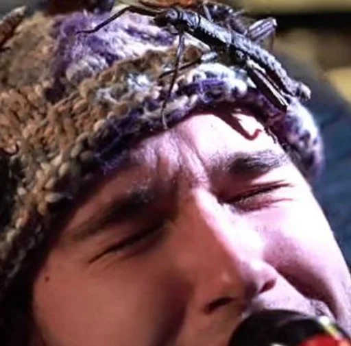 Эмодзи Хазяева