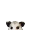 Эмодзи Opossum Coming