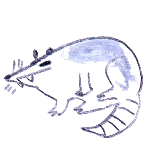 Эмодзи osier_forest_opossum