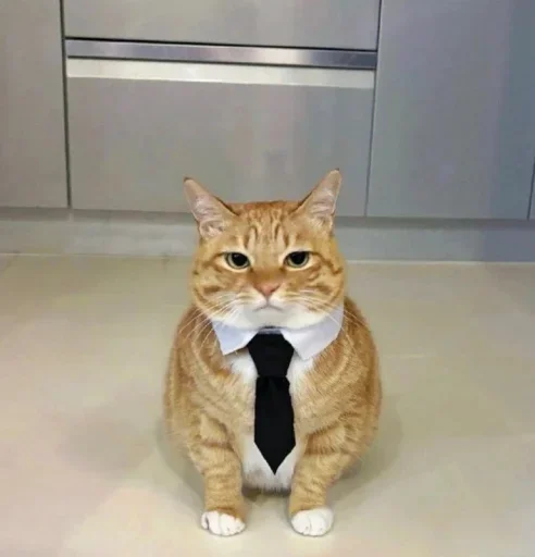 ?