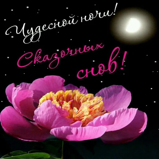 Эмодзи Dobrogo