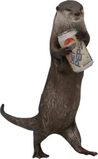 Эмодзи Otters Gotta Ott 4