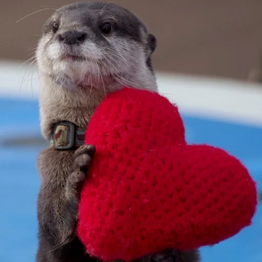 Эмодзи Выдры