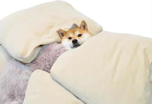 Эмодзи Outer Gaf 2