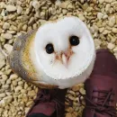 ?