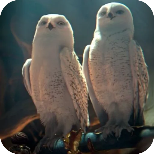 Эмодзи Owls