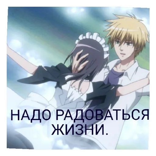 Эмодзи ПРЕЗИДЕНТ СТУДСОВЕТА ГОРНИЧНАЯ.