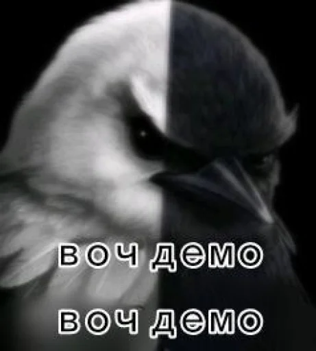 Эмодзи Birds Memes