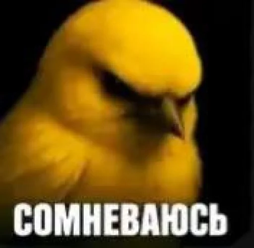 Эмодзи Birds Memes