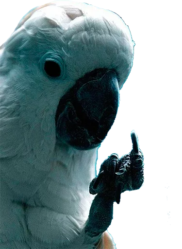 Эмодзи Папужки