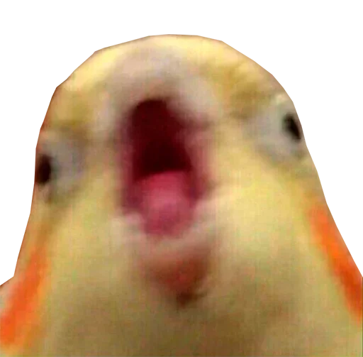 Эмодзи Папужки