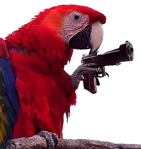 Эмодзи Папужки