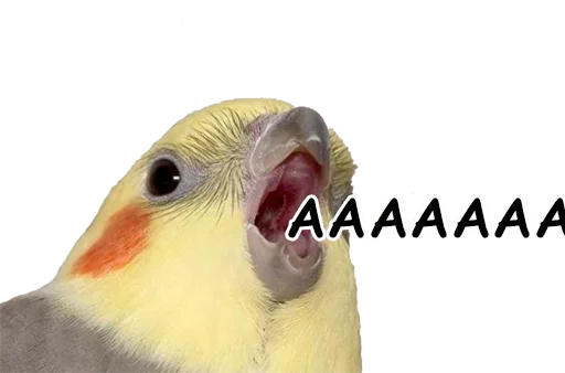 Эмодзи Папужки