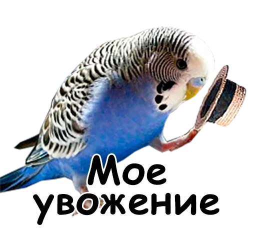 Эмодзи Папужки