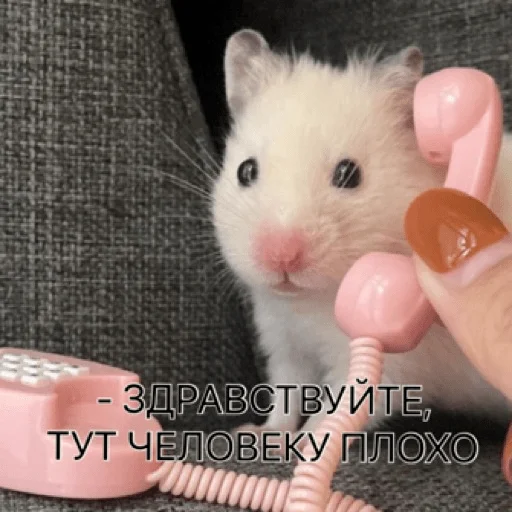 Эмодзи pacifist