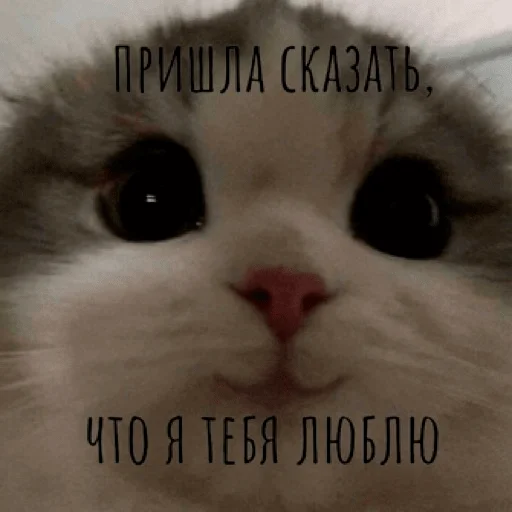 Эмодзи pacifist