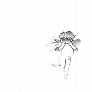 Эмодзи Puck Terzino