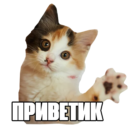 Эмодзи Пак для калажей