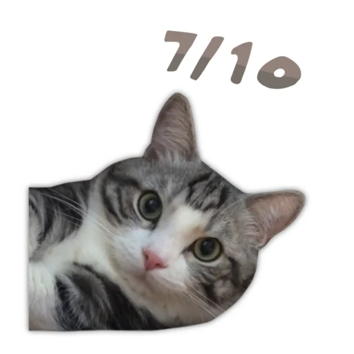 Эмодзи Panchan