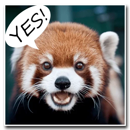 Эмодзи Pands Attack Us