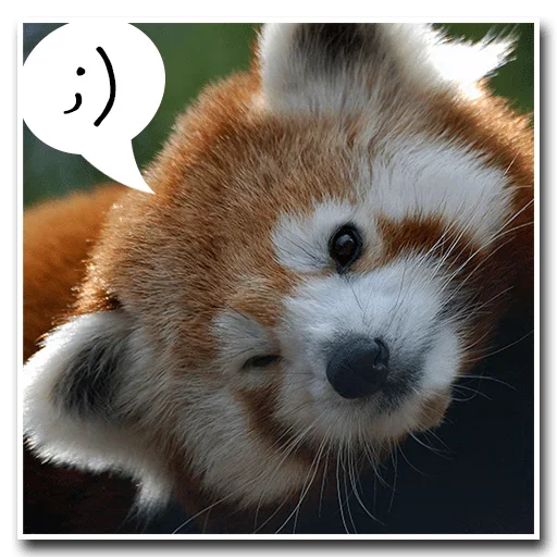 Эмодзи Pands Attack Us