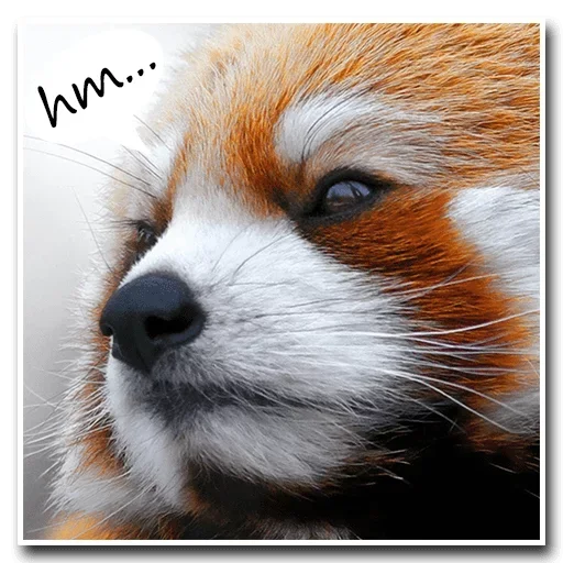 Эмодзи Pands Attack Us