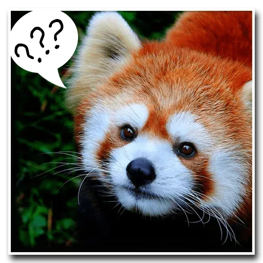 Эмодзи Pands Attack Us