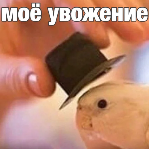 Эмодзи Попуги