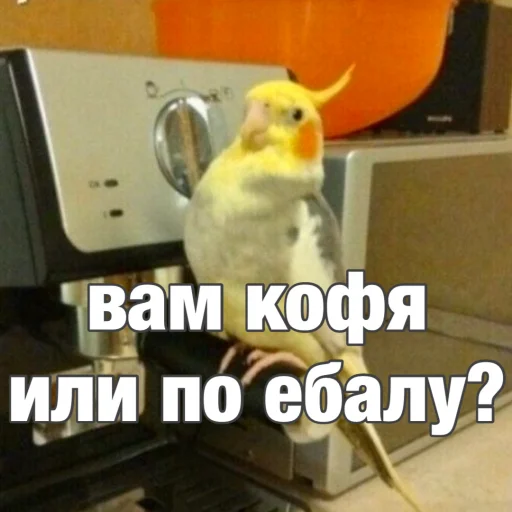 Эмодзи Попуги