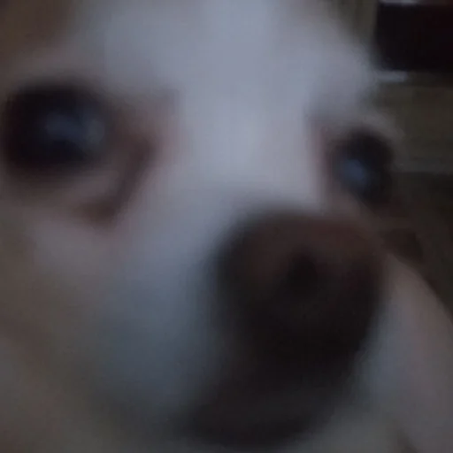 Эмодзи Персик