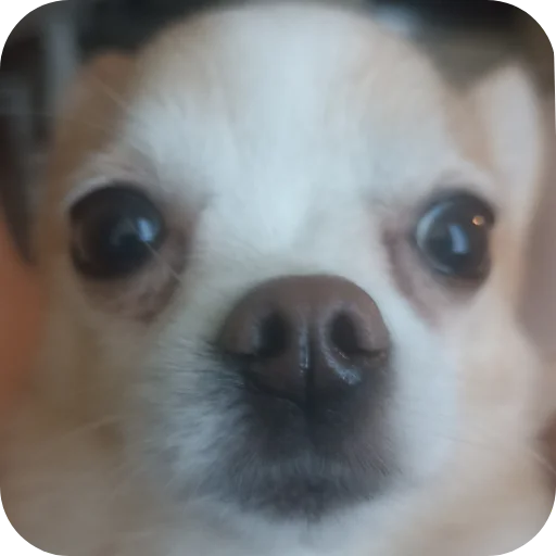 Эмодзи Персик