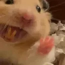 Эмодзи Animal mem