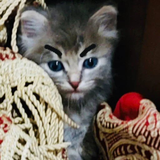 Эмодзи Pibimpab