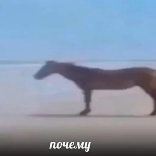 Эмодзи Пикчи