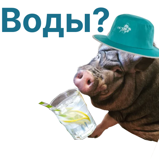 Эмодзи Свинья-Кулинар