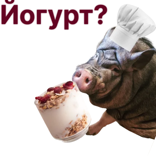 Эмодзи Свинья-Кулинар
