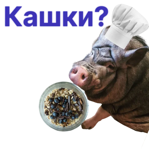 Эмодзи Свинья-Кулинар
