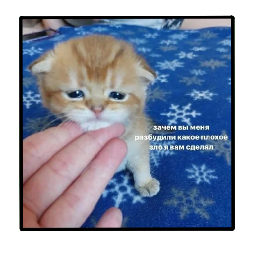 Эмодзи Пикчи (ingysk64)