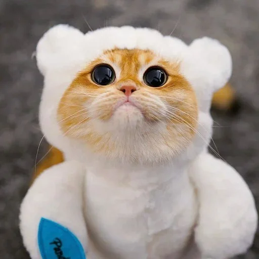 Эмодзи Pishi 2