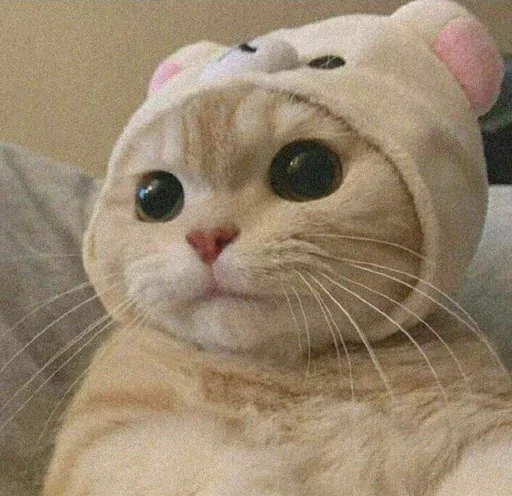 Эмодзи Pishi 2