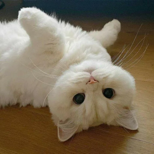 Эмодзи Pishi 3