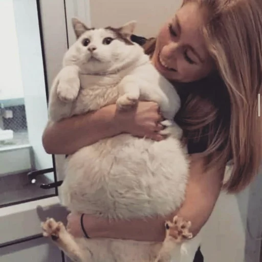 Эмодзи Pishi 3