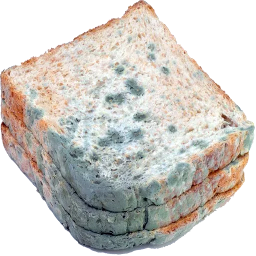 Эмодзи Moldy