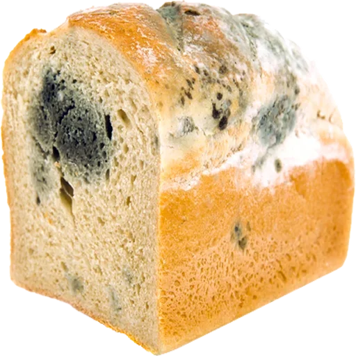Эмодзи Moldy