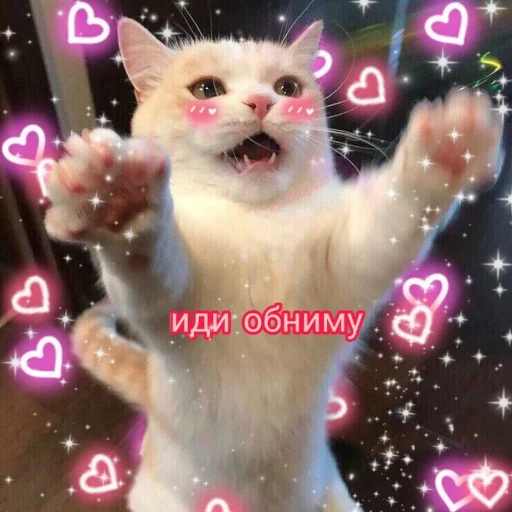 Эмодзи ты лапочка