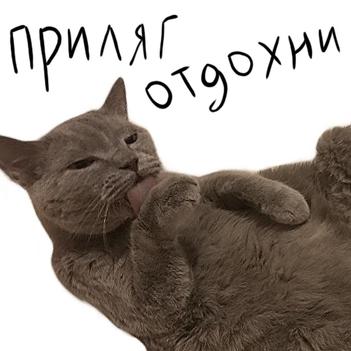 Эмодзи Poncik