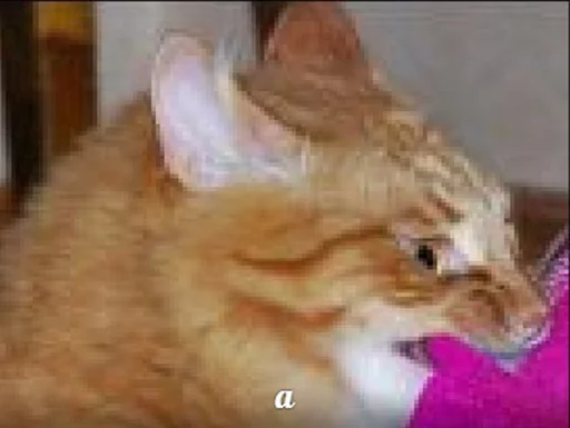 ?